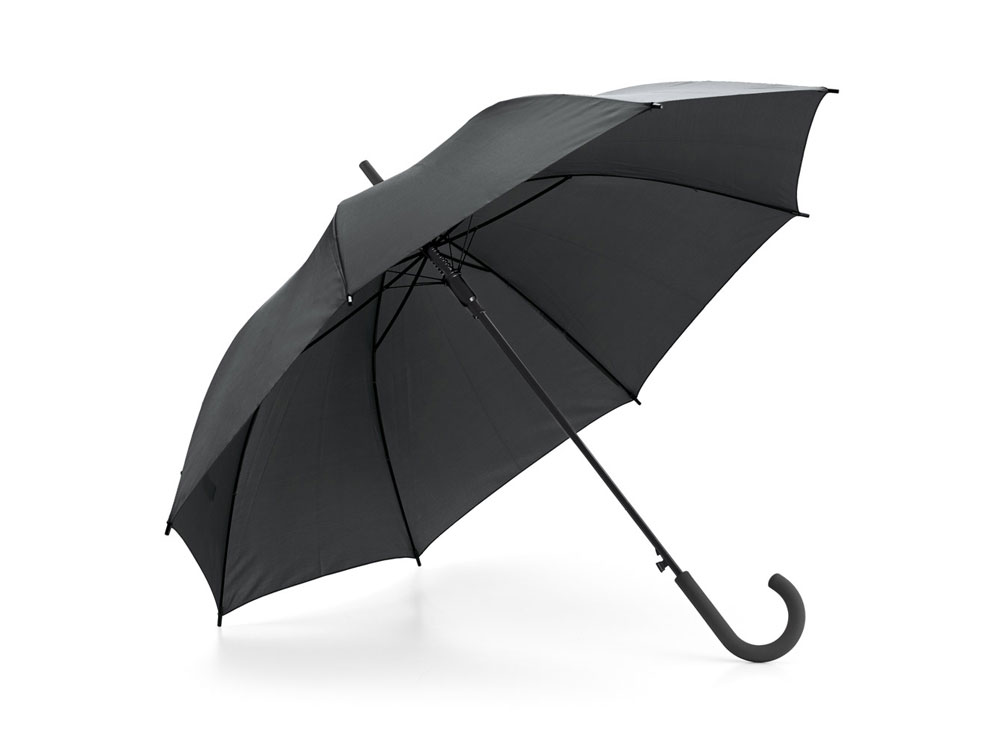 Зонт с автоматическим открытием MICHAEL