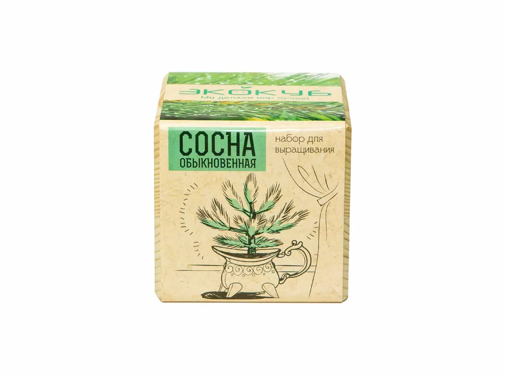 Набор для выращивания Лаванда