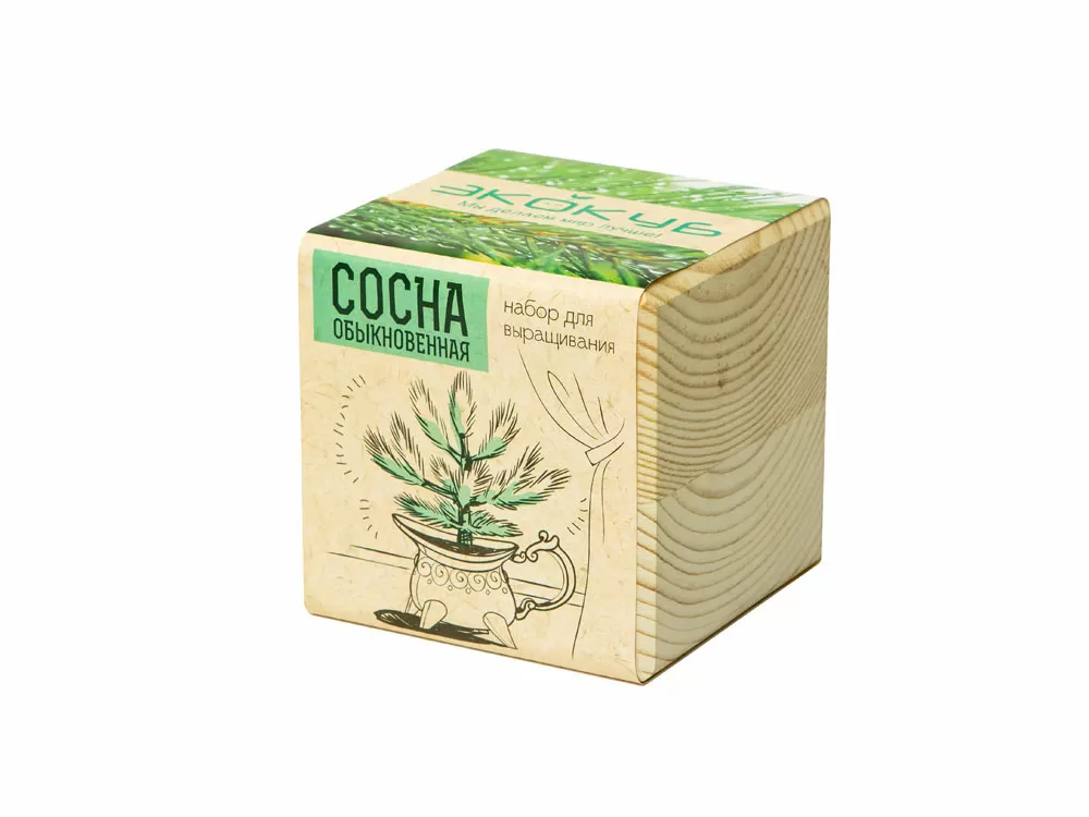 Набор для выращивания Лаванда