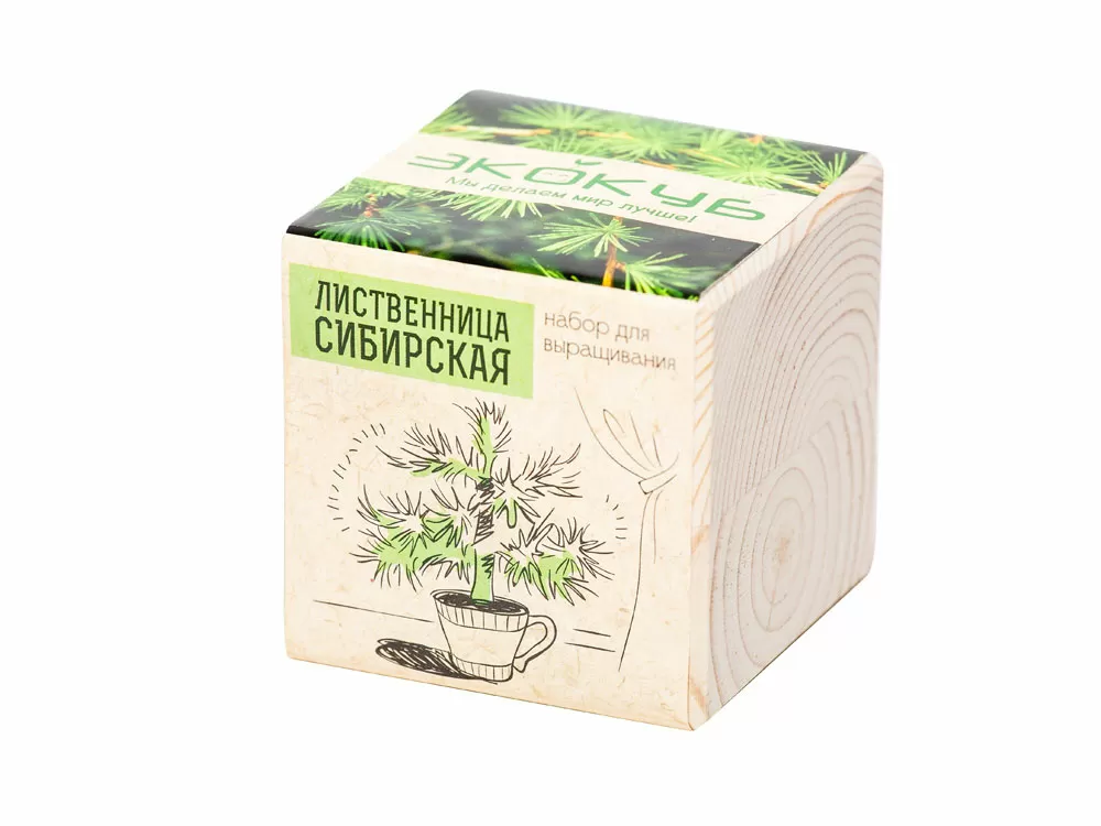 Набор для выращивания Лаванда