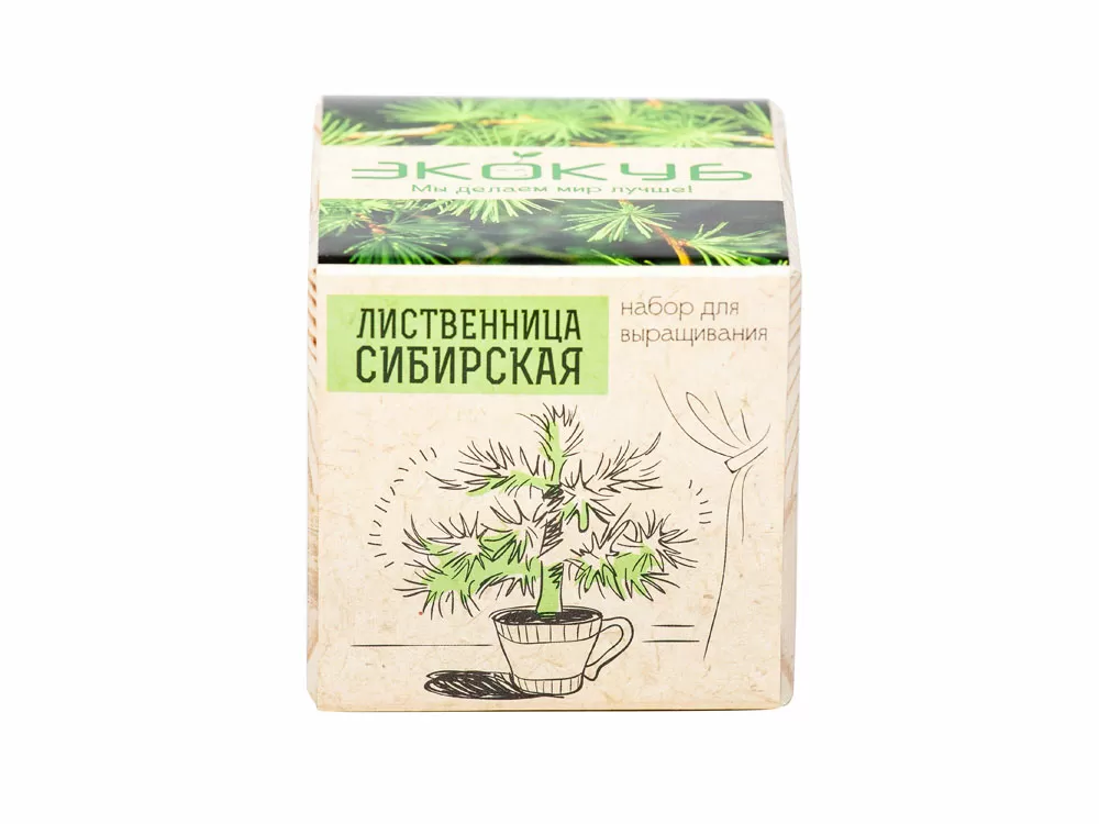 Набор для выращивания Лаванда