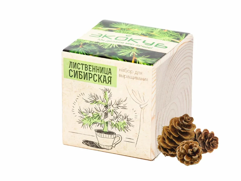 Набор для выращивания Лаванда