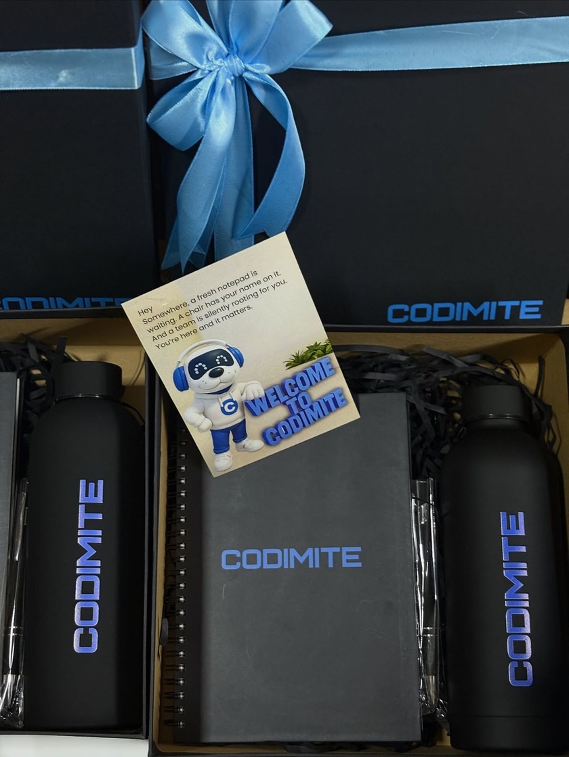 Набор #109 - три повода для гармонии