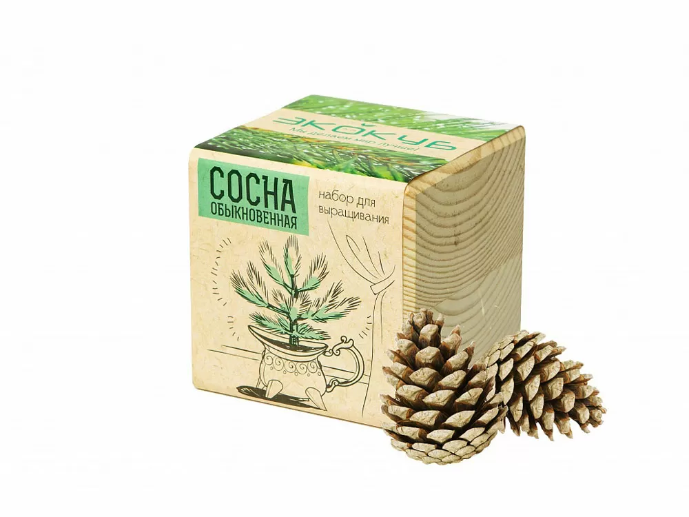 Набор для выращивания Лаванда