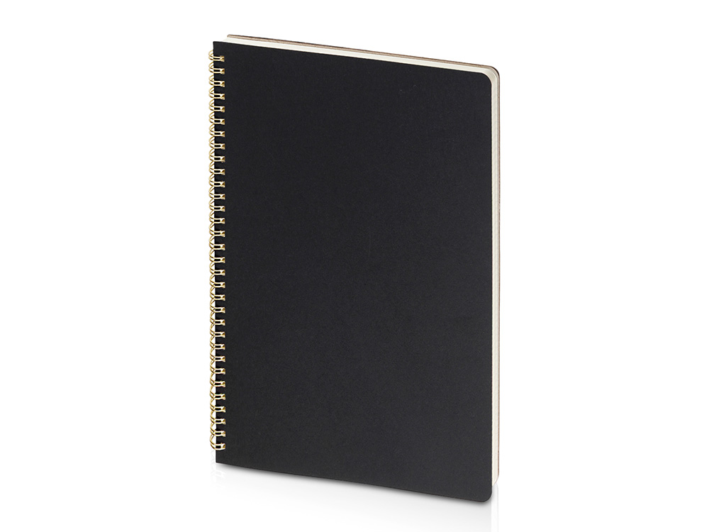 Бизнес-тетрадь А4 Pragmatic