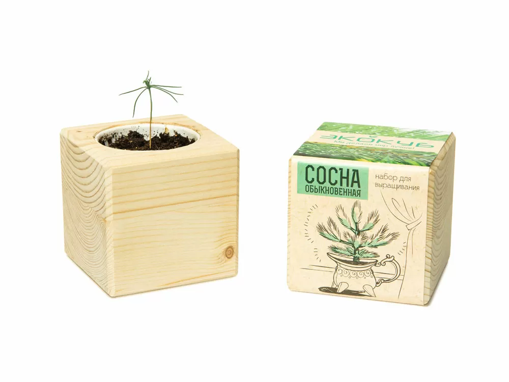 Набор для выращивания Лаванда